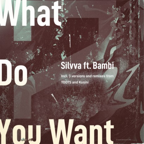 What Do You Want (Orchestra Mix) ft. Bambi cover art