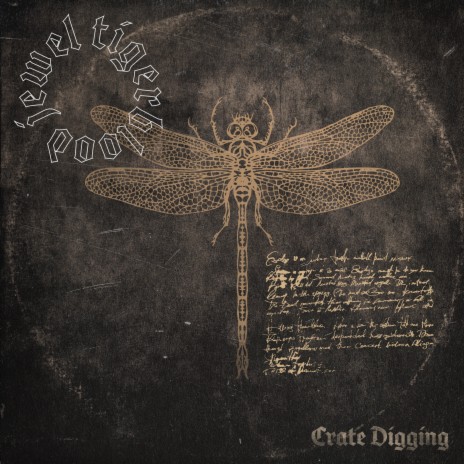 The Old Timer cover art