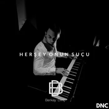 Herşey onun suçu cover art