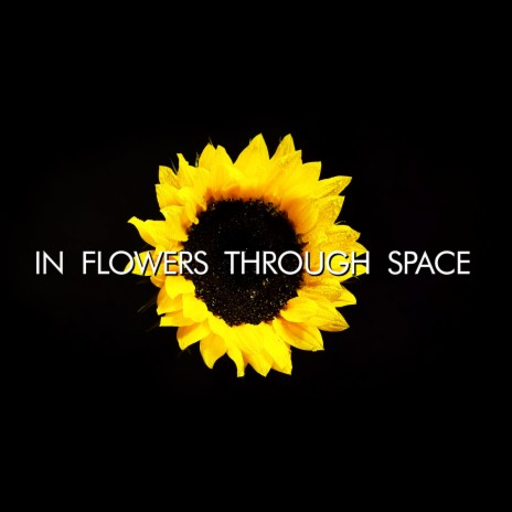 5 cover art