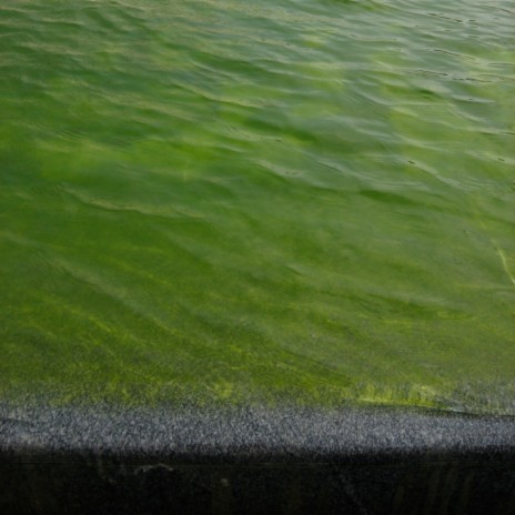 Written In Water cover art