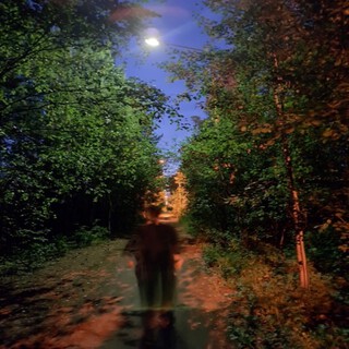Rexon cover art