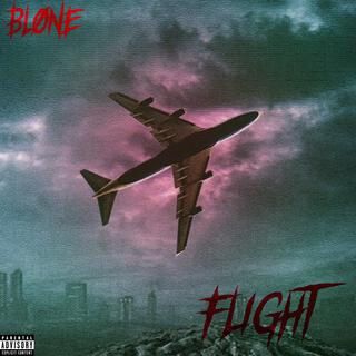 Flight cover art