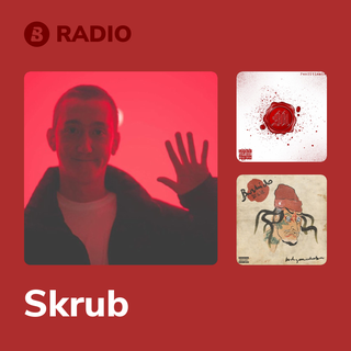 Skrub Radio