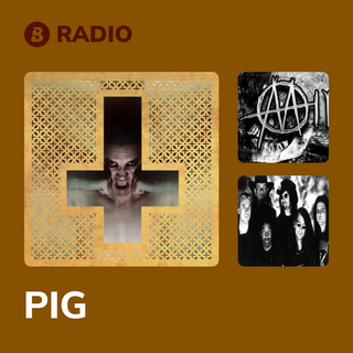 PIG Radio