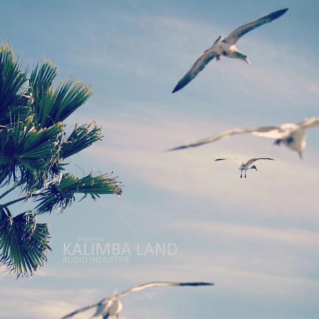 Kalimba Land