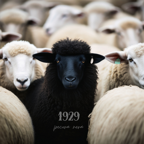 Pecora Nera cover art