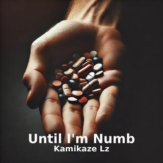 Until I'm Numb