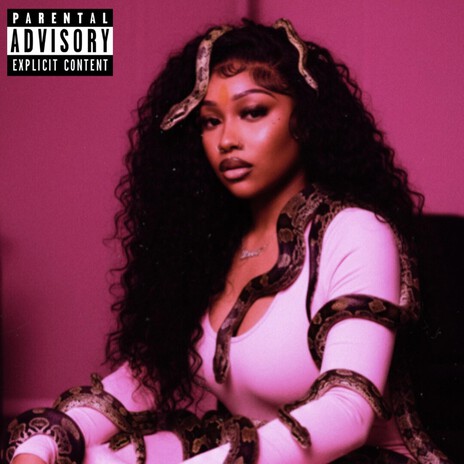 BODAK PINK cover art