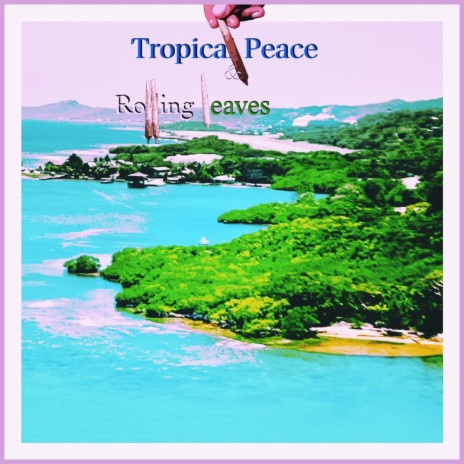 Sunni Days N Ocean Views cover art