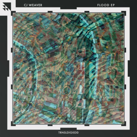 Forest Music (Original Mix) cover art