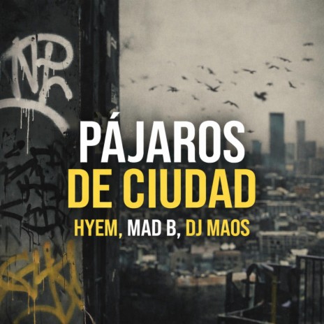 Pájaros de Ciudad ft. Mad B & Dj Maos cover art