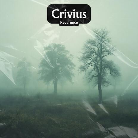 Shipwreck in the Dawn cover art