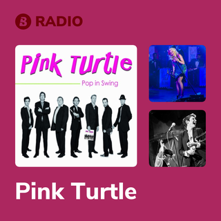 Pink Turtle Radio