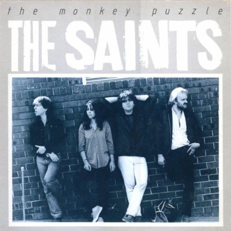 Monkeys (Let's Go) cover art