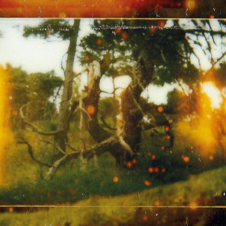 KungFuKid cover art