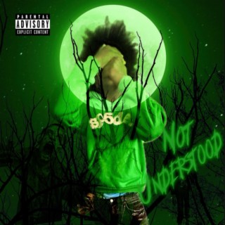 Not Understood
