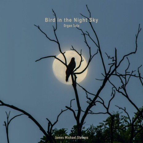 Bird in the Night Sky (Organ Solo) cover art