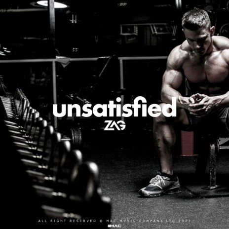 Unsatisfied (Radio Edit) cover art