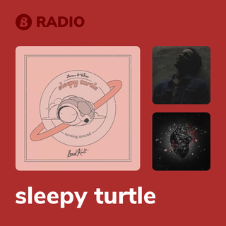 sleepy turtle Radio