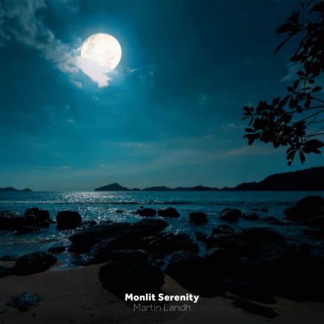 Moonlit Serenity cover art
