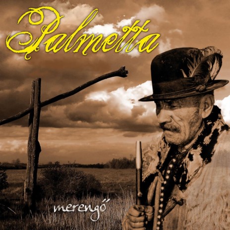 Árvalányhaj lengedez a hegytetőn cover art