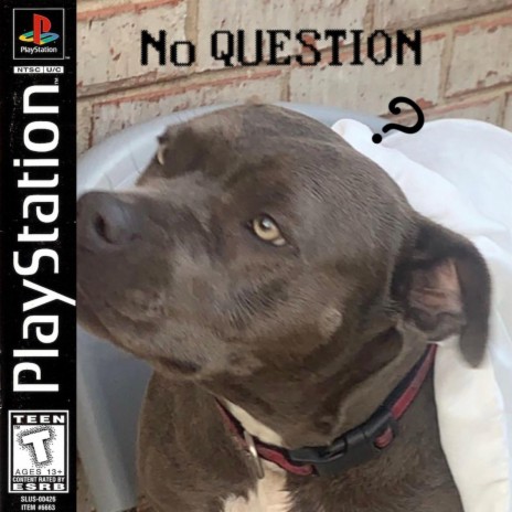 No Question cover art