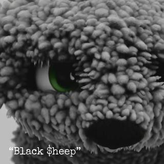 Black Sheep