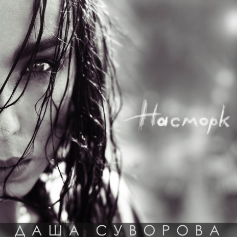 Чайки