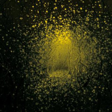 French Exit cover art