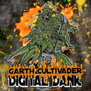 Digital Dank