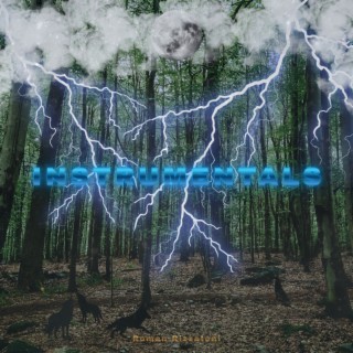 Instrumentals