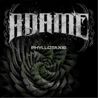 Phyllotaxis I