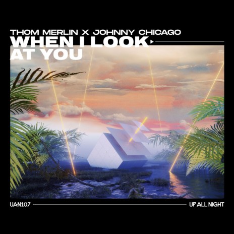 When I Look At You ft. Johnny Chicago cover art