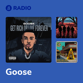 Goose Radio