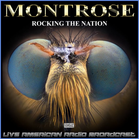 I Don't Want It/Outro (Live) cover art