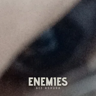 Enemies cover art