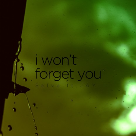 I Won't Forget You ft. JAY