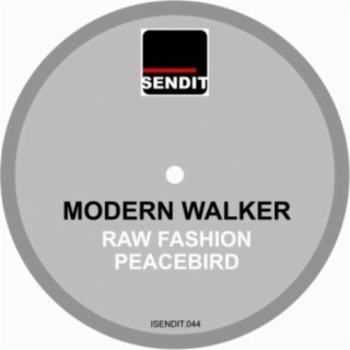 Modern Walker