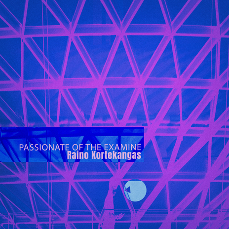 Passionate of the Examine (In@04) cover art