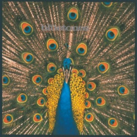 A Parting Gesture (John Peel '94 - Transmitted 18.12.94) cover art
