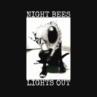 Lights Out cover art