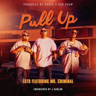 Pull Up (feat. Mr. Criminal) cover art