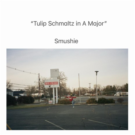 Tulip Schmaltz in A Major cover art