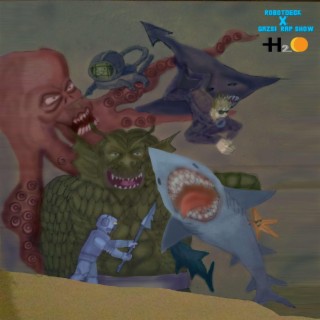 H2O