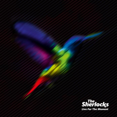 Nobody Knows cover art