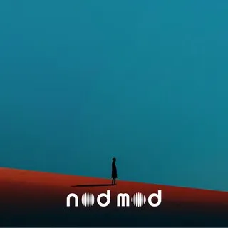 Snap Point cover art