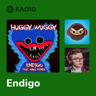 Endigo Radio