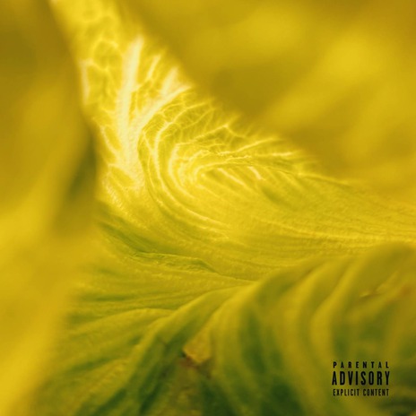 Crapa ft. Vansterra cover art
