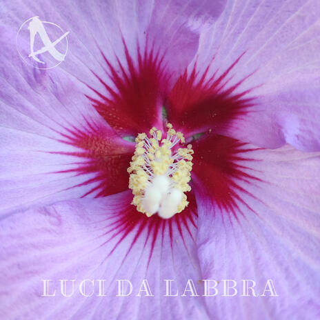 Luci da Labbra ft. Armomilla cover art